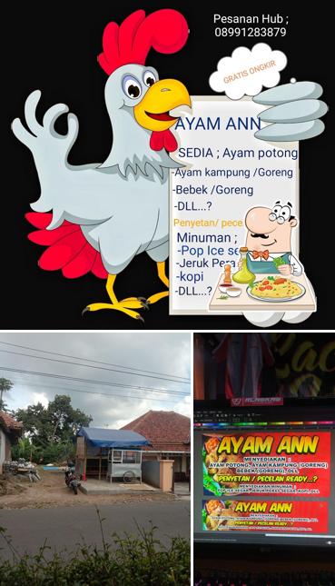 AYAM ANN