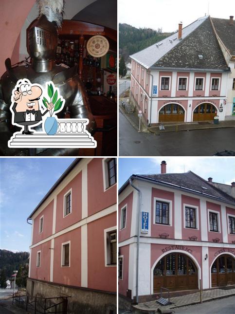 Černá Kočka
