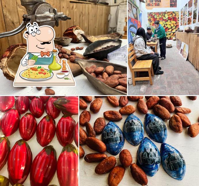 Museo del cacao