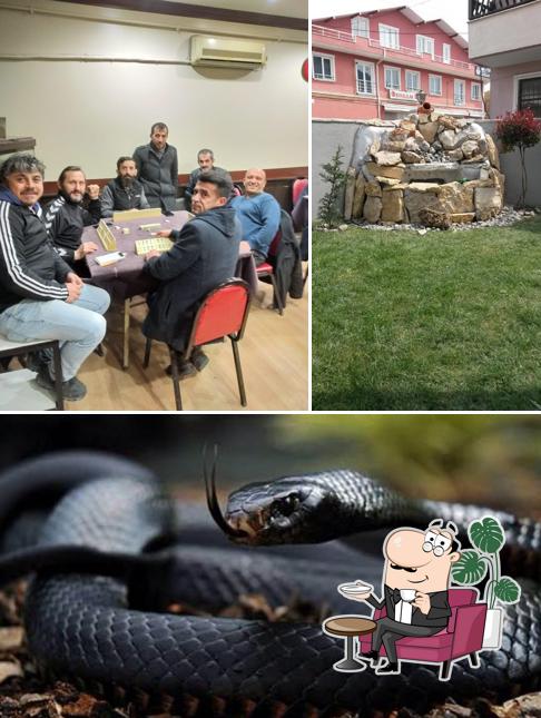 Demirçeşme Kıraathanesi