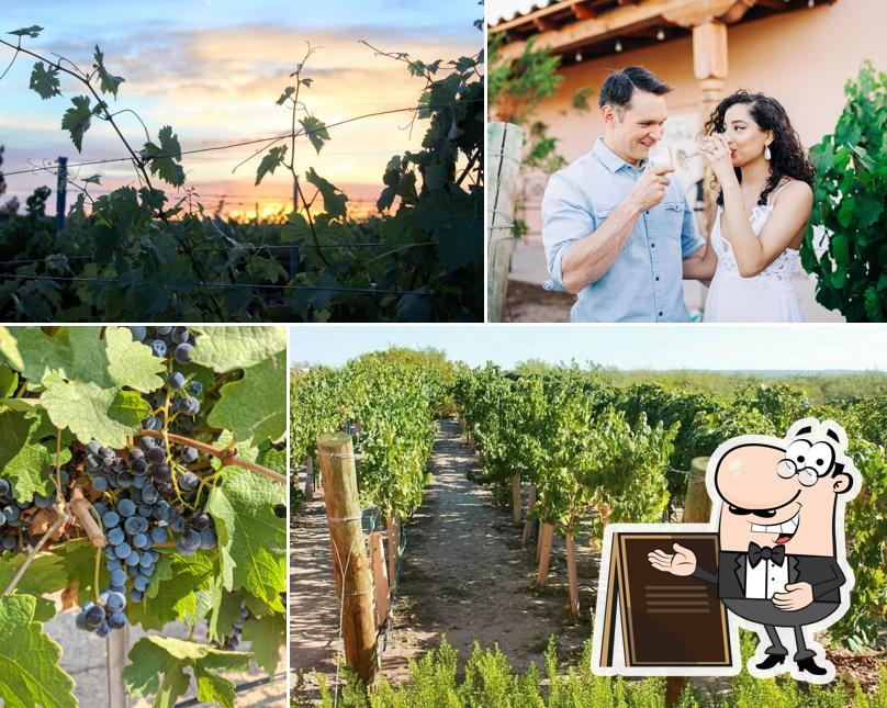 FORT SELDEN WINERY