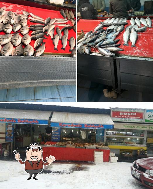 karadeniz balikcilik