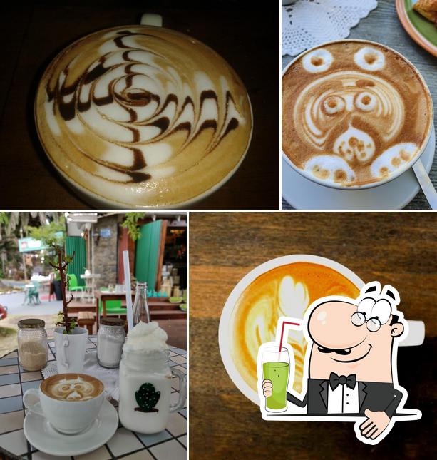 The Green Shed Coffee Roastery