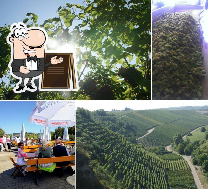 Weinstube Bayer
