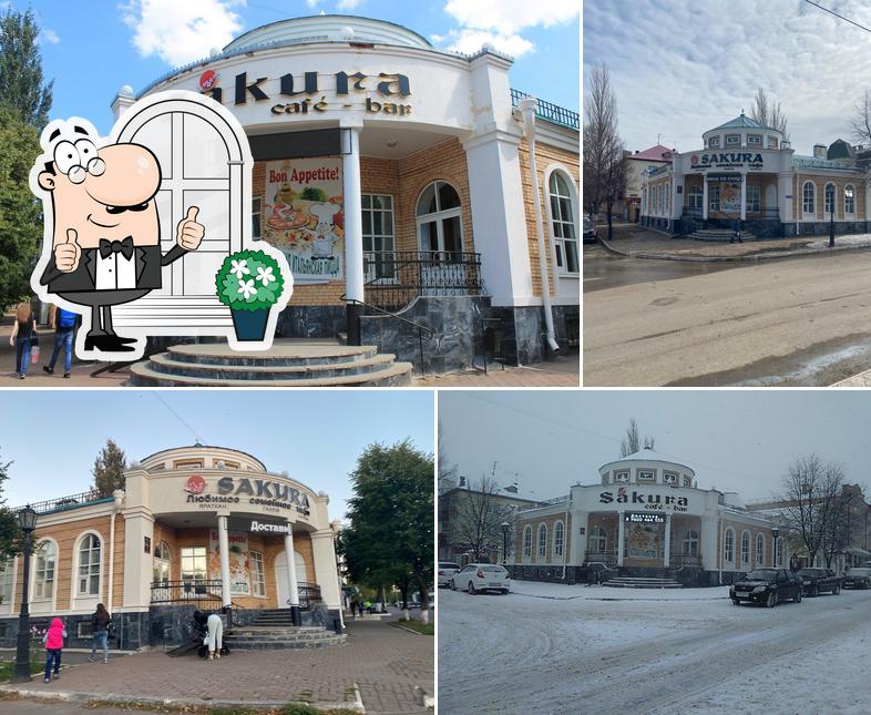Сакура