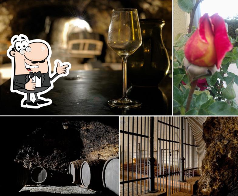 Török Winery