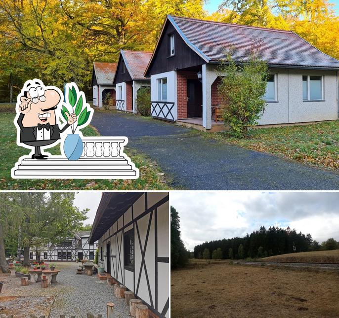 Sternhaus Harz