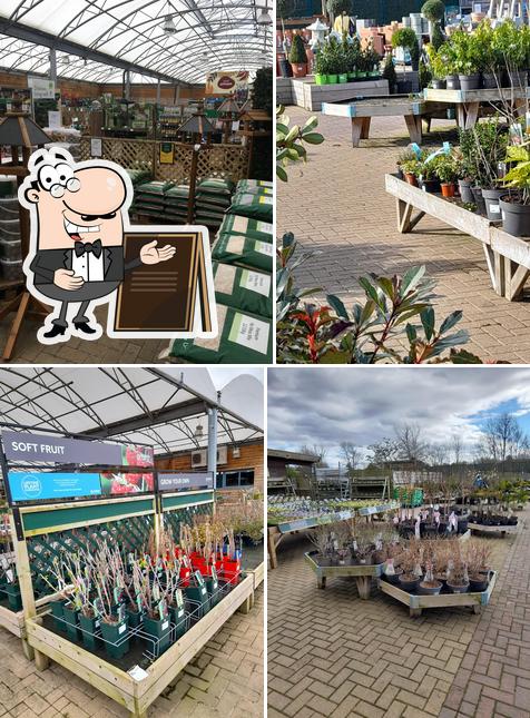 Dobbies Garden Centre Chesterfield