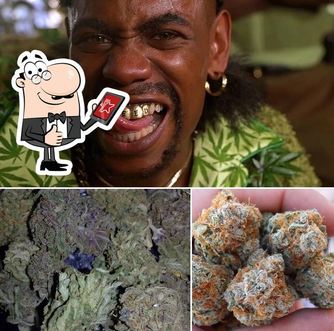 HalfBaked