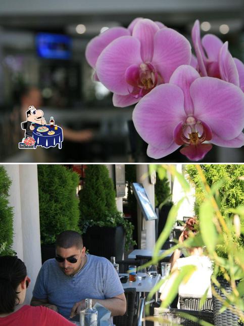 L'Orchidée