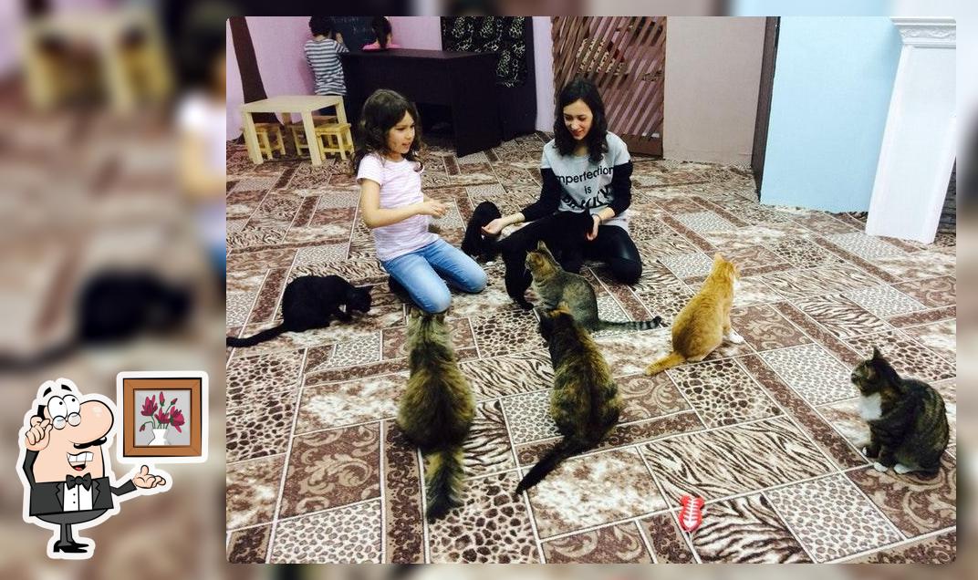 Котокафе