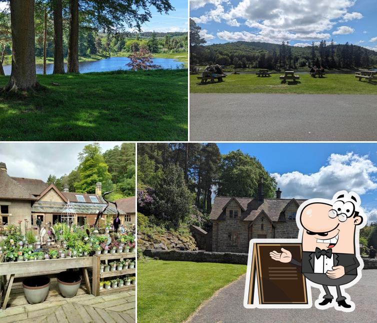 Cragside Tea Shop