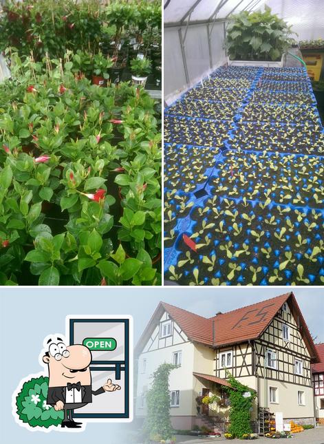 Gartenbau Falk Schäfer
