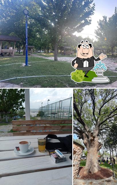 Çapaçarık Değirmen Boğazı Cafe Restaurant