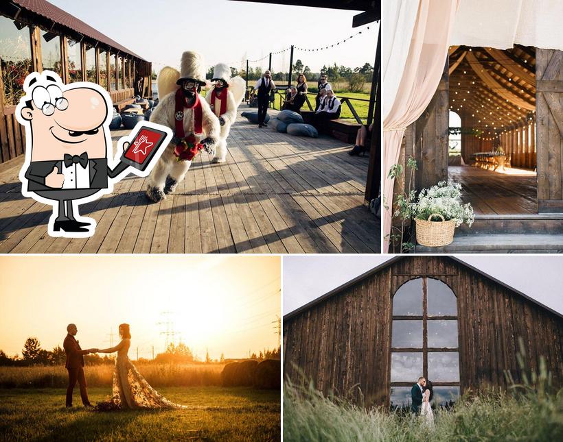 TheFarm Saint Petersburg