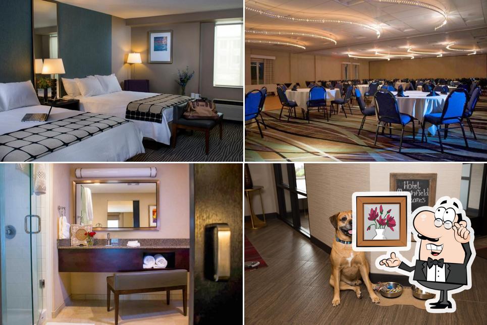 Hotel Marshfield