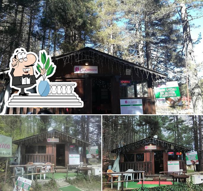 La lumaca