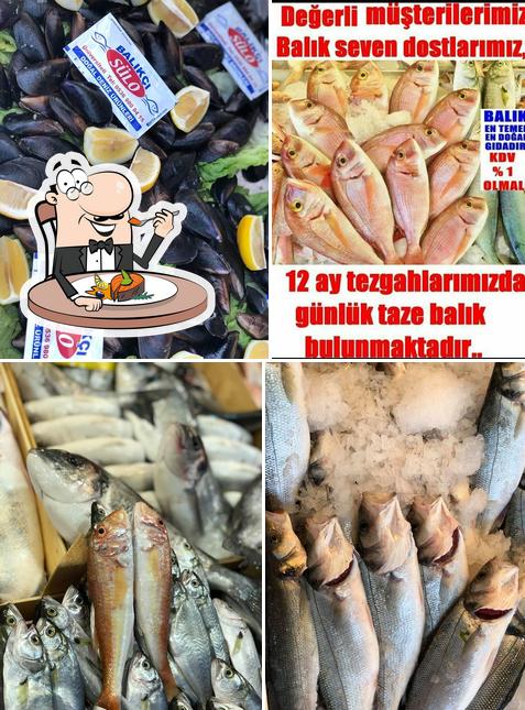 Balıkçı SÜLO
