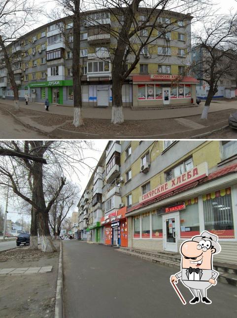 Сокурские Хлеба