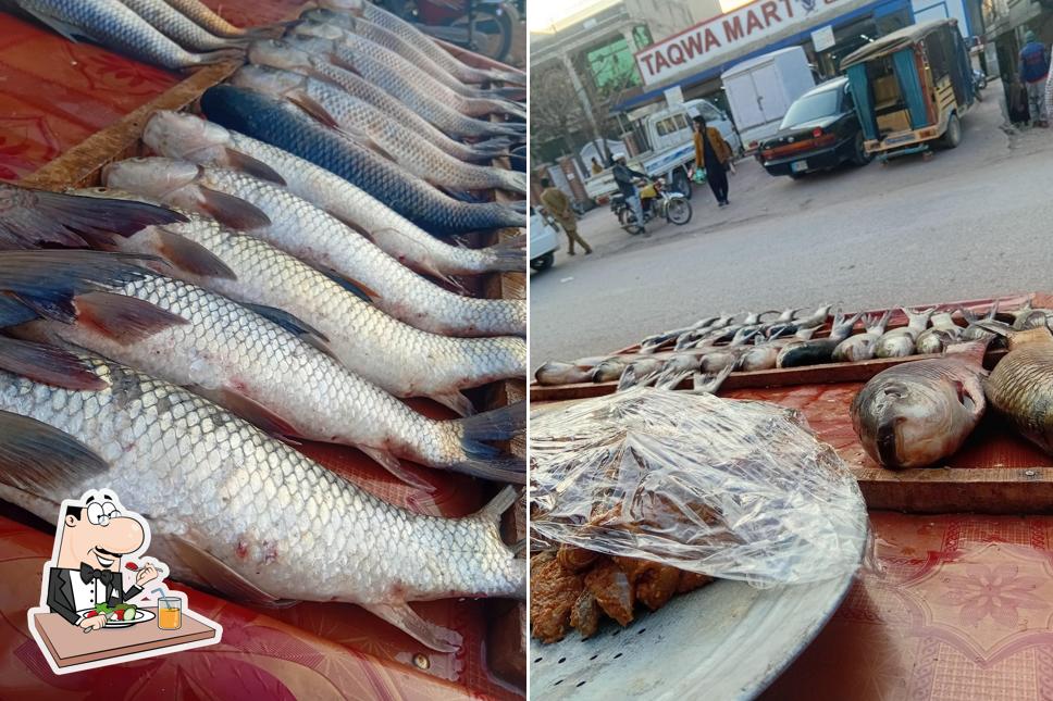 Rajput Fish Point