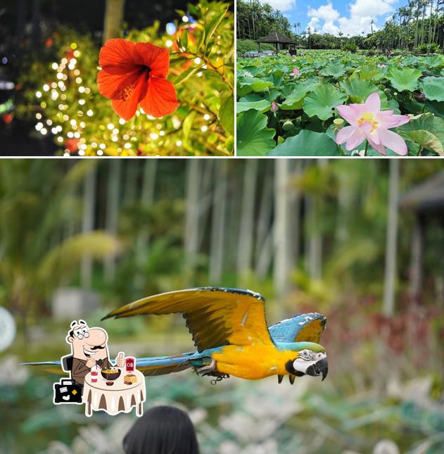 Southeast Botanical Gardens
