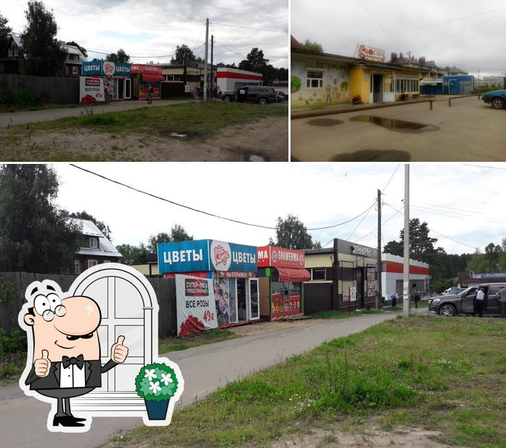 Костромичка