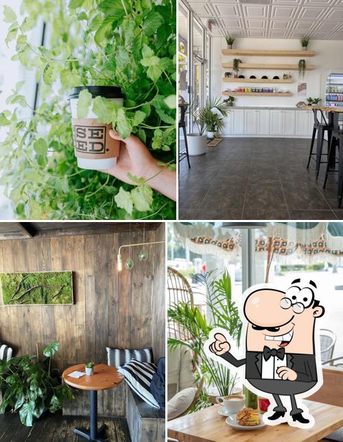 the seed. Coffee + Juice Bar