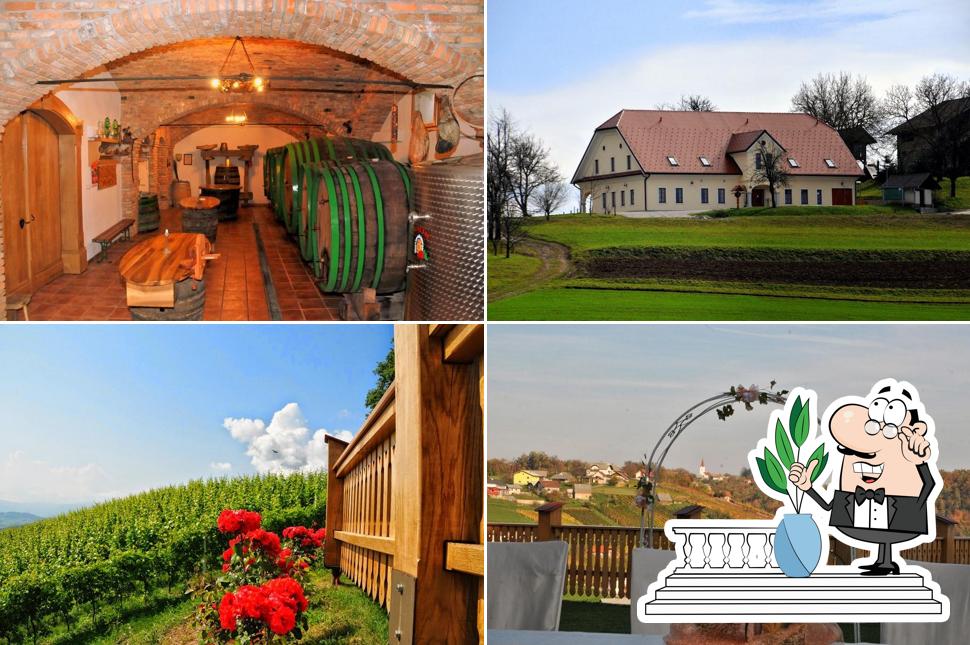 Vinski Dvor Deu, gostinstvo, Ivan Deu s.p.