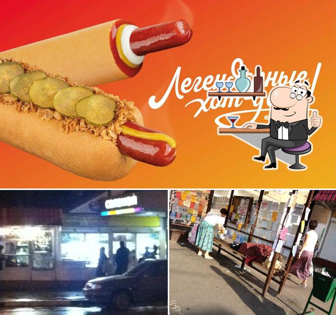 Stardogs
