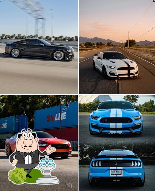 Наслаждайтесь видом , который открывается из "Мустанга"