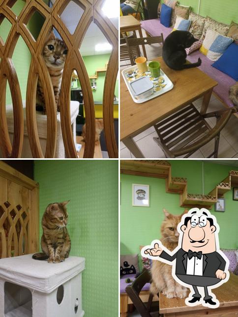 Кофетерий