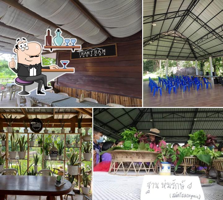 ไร่ธารธรรม ThanThamFarm