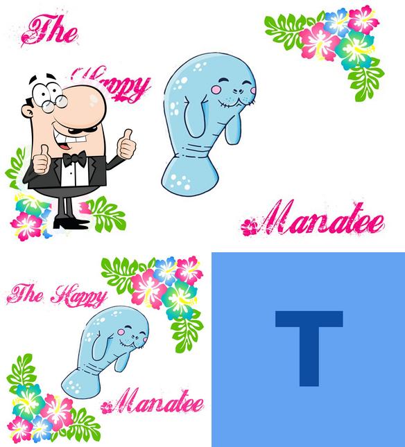 The Happy Manatee