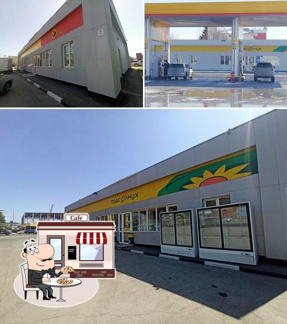 Подсолнух