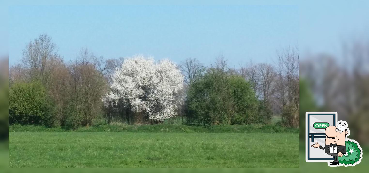 A. Meerveld