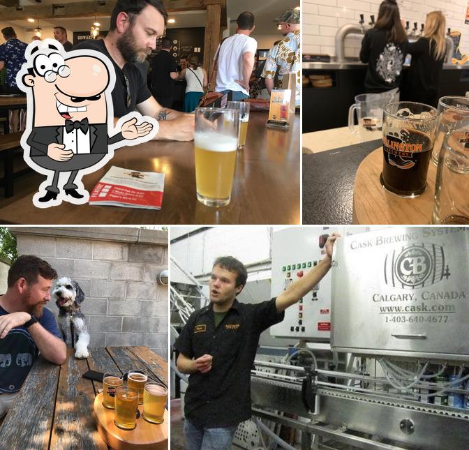 Wellington Brewery