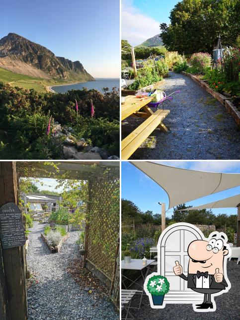 Bert's Kitchen Garden