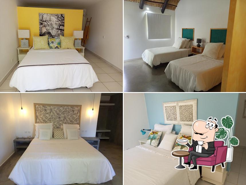 Quinta Dos Sarmentinhos