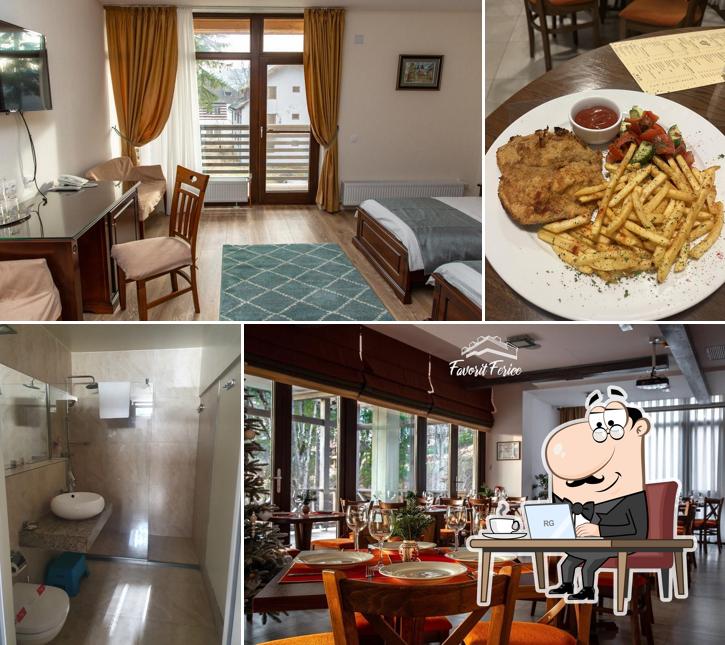 Pensiune-Restaurant Favorit Ferice