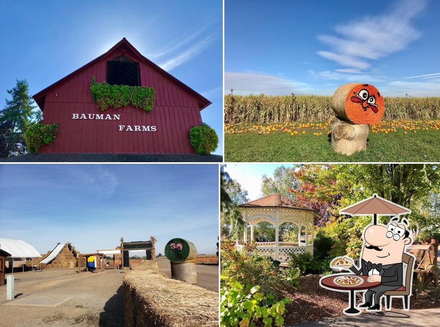 Bauman's Farm and Garden