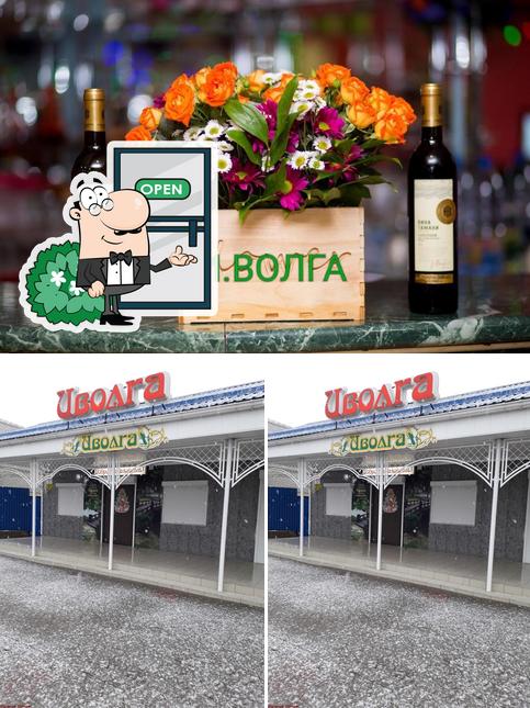 "Иволга"