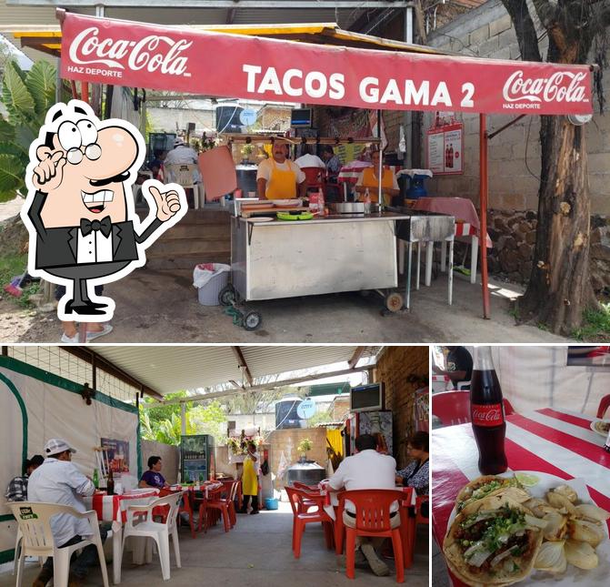 Tacos Gama 2