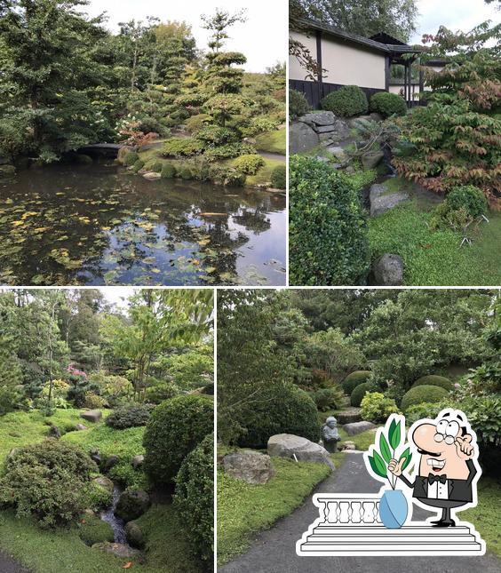 De Japanske Haver