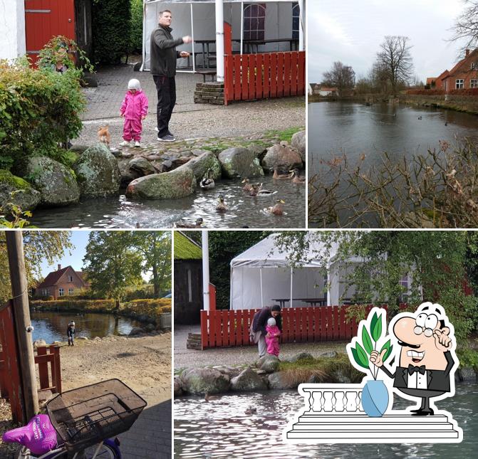 Smedien Øl Og Vinstue