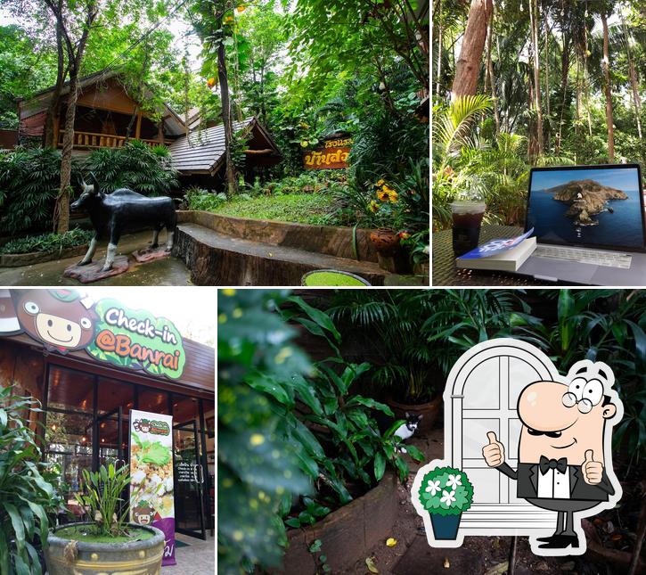 Check-In at Banrai - ร้านกาแฟ บ้านไร่ อุทัยธานี