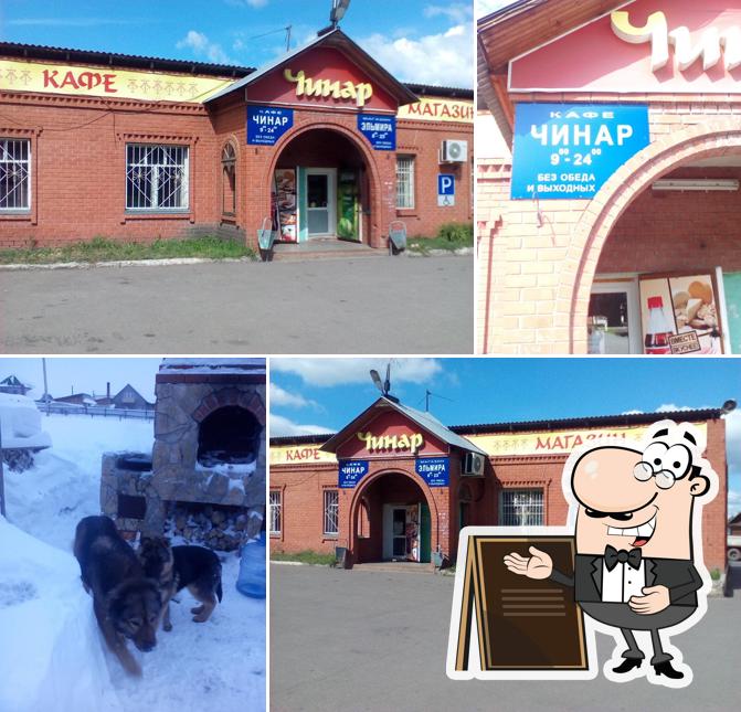 Чинар
