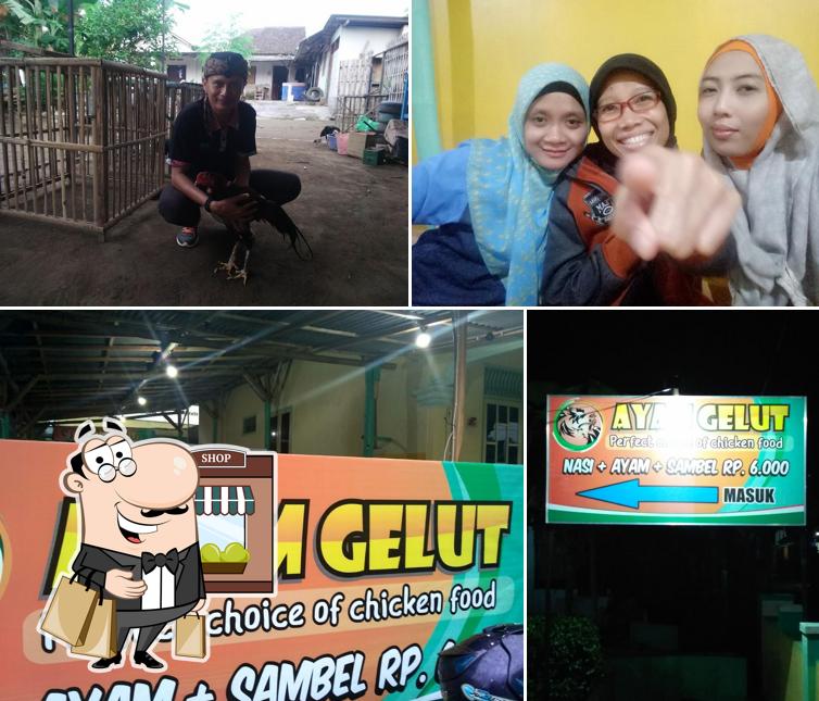 Ayam Gelut