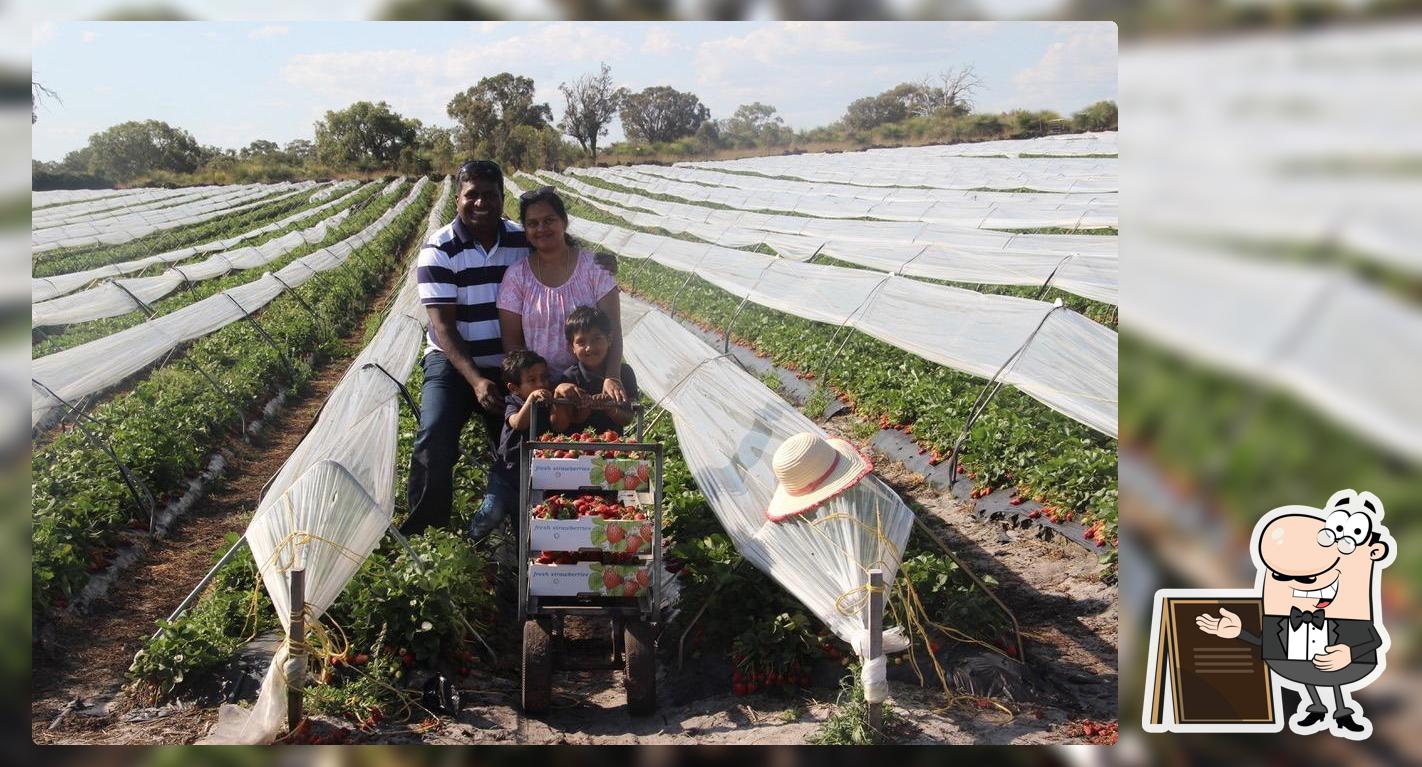 Strawberry Farm