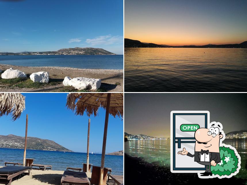 Ψαροταβέρνα Η Ψαροπούλα Πόρτο Ράφτη