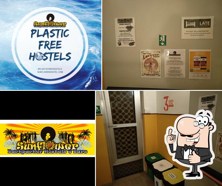 Sunflower Beach Backpacker Hostels & Bar